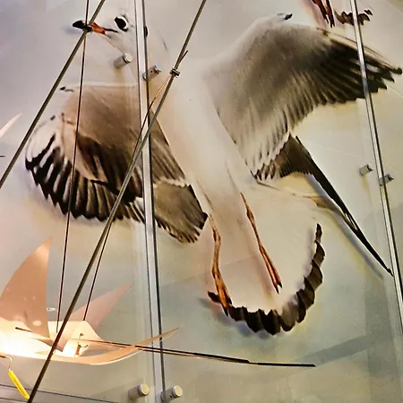 Visit Baltic - Indigo Baltycka Apartamento Świnoujście