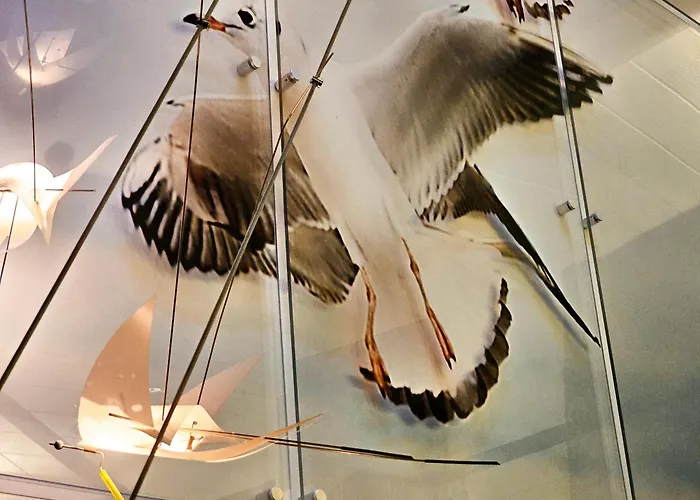 Visit Baltic - Indigo Baltycka Апартаменты Свиноуйсьце